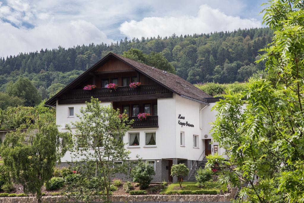 Haus Kesper-Brunen Otel Willingen  Dış mekan fotoğraf
