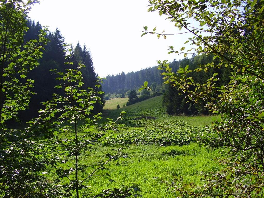 Haus Kesper-Brunen Otel Willingen  Dış mekan fotoğraf