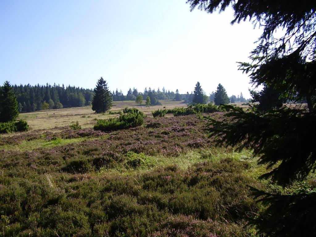 Haus Kesper-Brunen Otel Willingen  Dış mekan fotoğraf